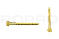 Quickfix Stainless steel screw 50mm gold Torx-pin